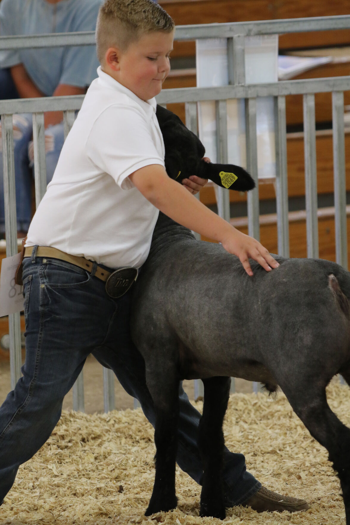 PHOTO: Sheep Show at Scotts Bluff County Fair